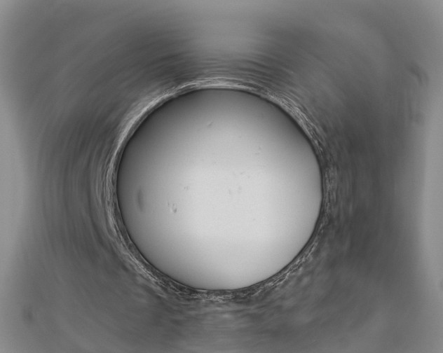 X0000112860289200908281610