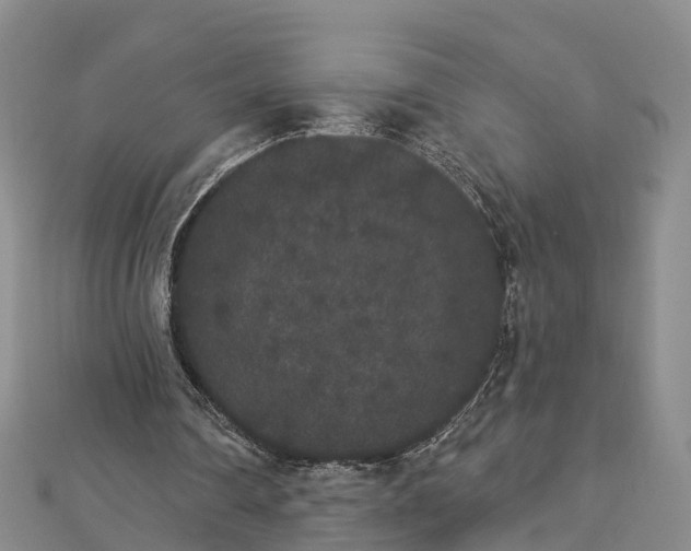 X0000112860290200908281610