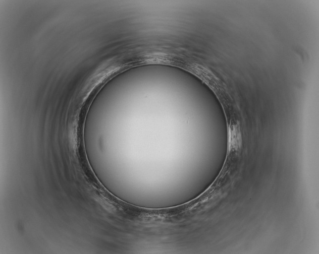 X0000112860291200908281610