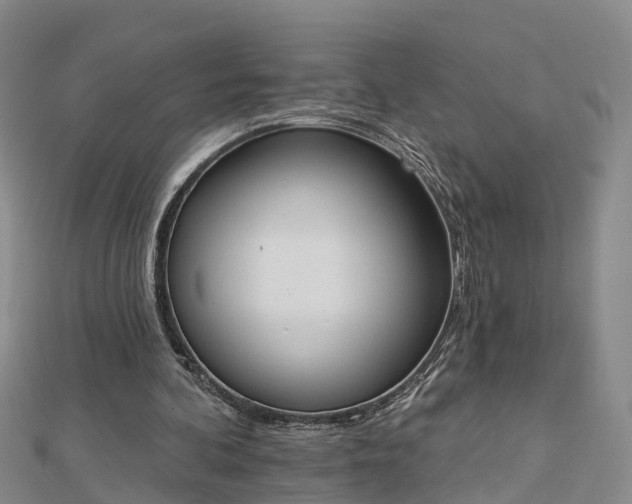 X0000112860292200908281610
