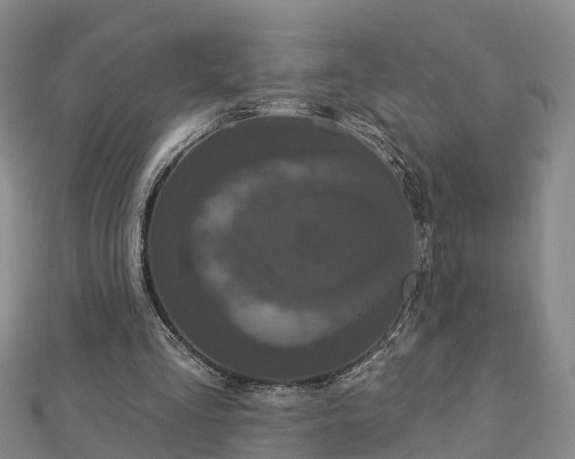 X0000112860293200908281610
