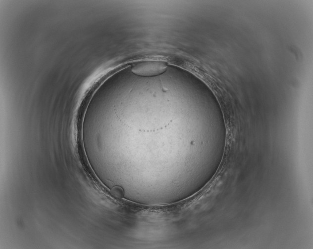 X0000112860294200908281610