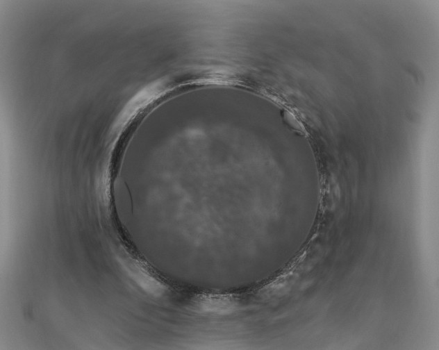 X0000112860296200908281610