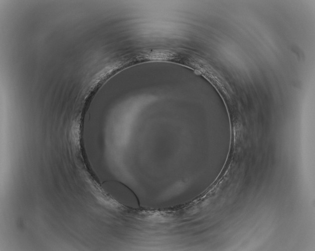 X0000112860297200908281610