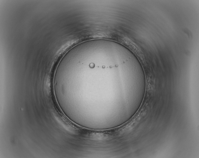X0000112860298200908281610