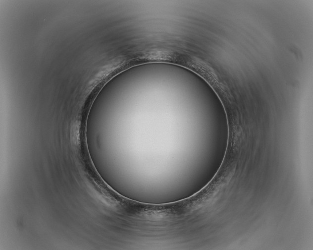 X0000112860299200908281610