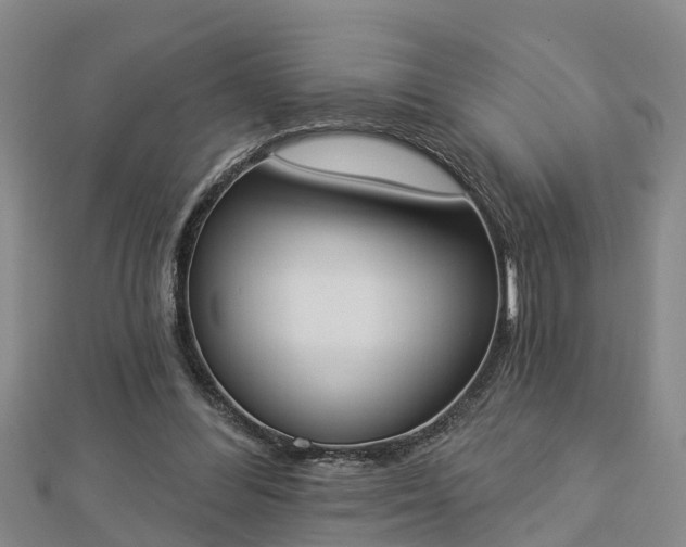 X0000112860300200908281610
