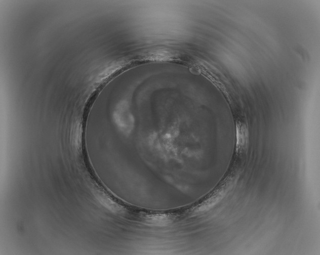 X0000112860301200908281610