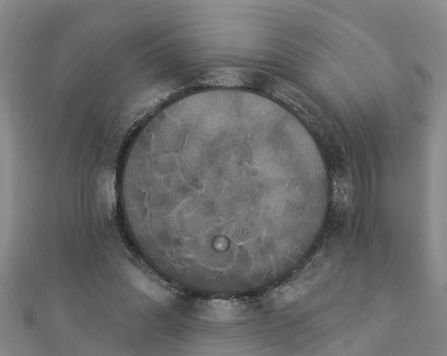 X0000112860302200908281610