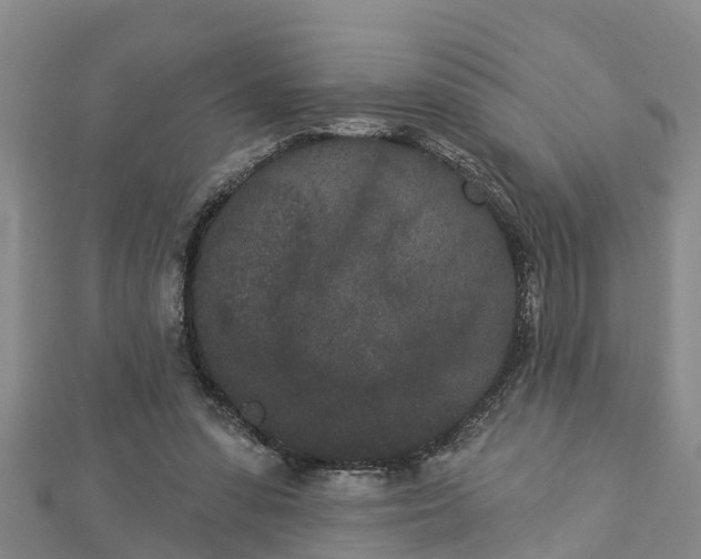 X0000112860303200908281610