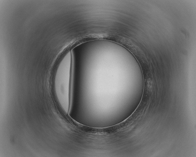 X0000112860304200908281610
