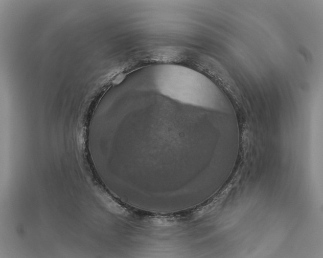 X0000112860305200908281610