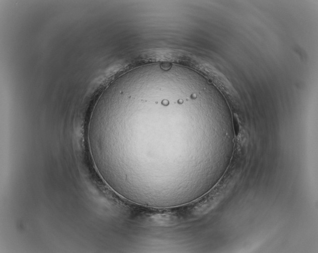 X0000112860306200908281610