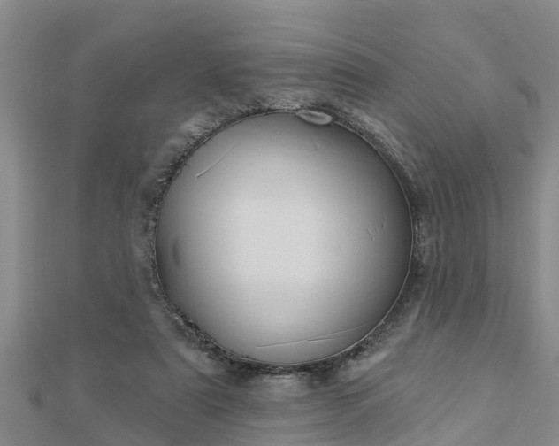 X0000112860307200908281609