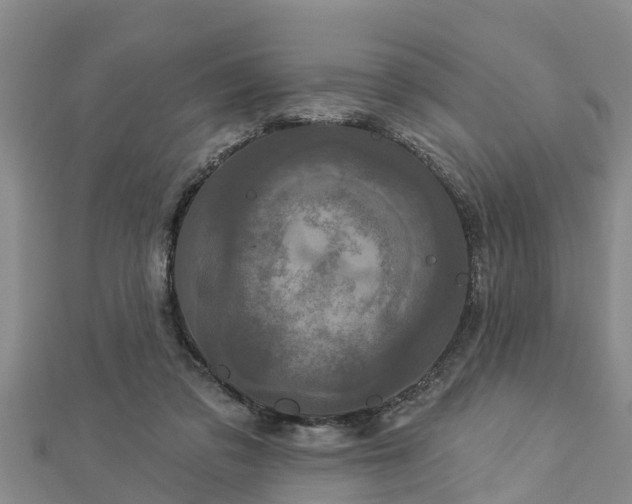 X0000112860309200908281609