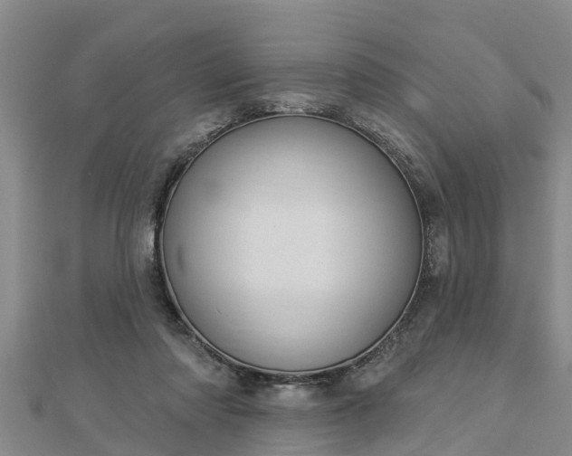X0000112860310200908281609