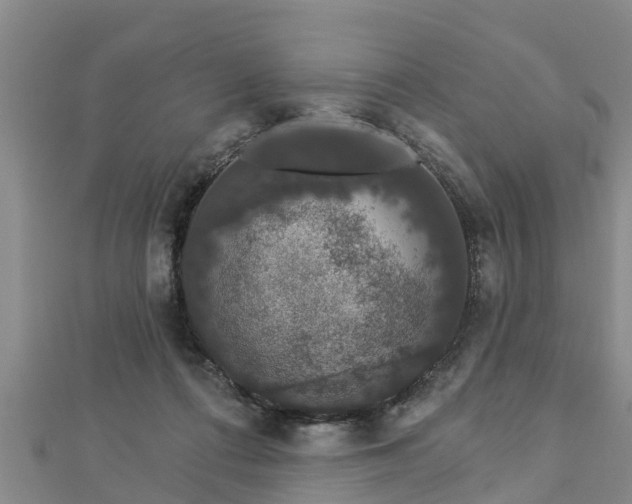 X0000112860312200908281609
