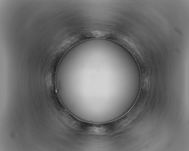 X0000112860317200908281609