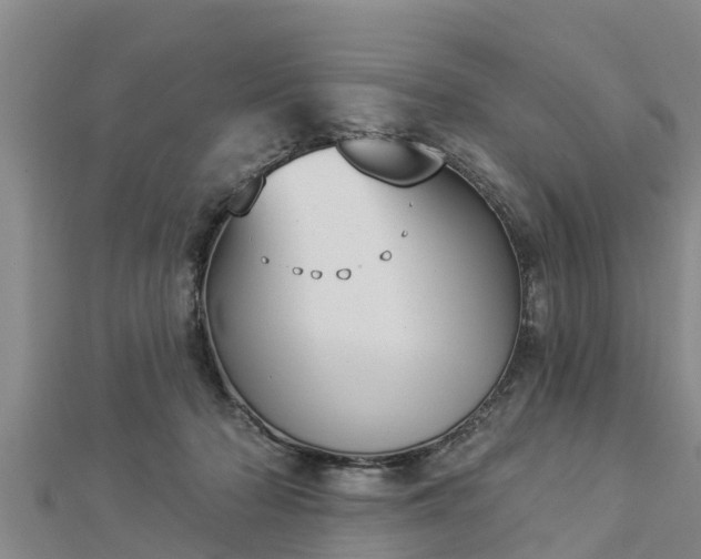 X0000112860318200908281609