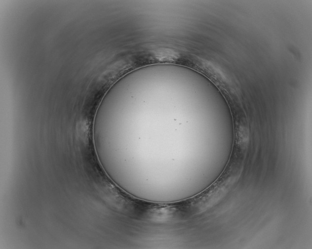 X0000112860321200908281609