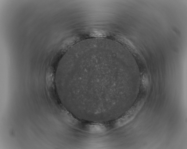 X0000112860322200908281609