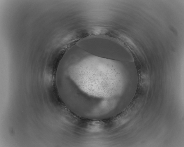 X0000112860324200908281609