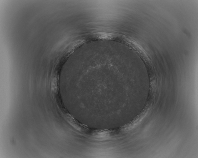X0000112860325200908281609