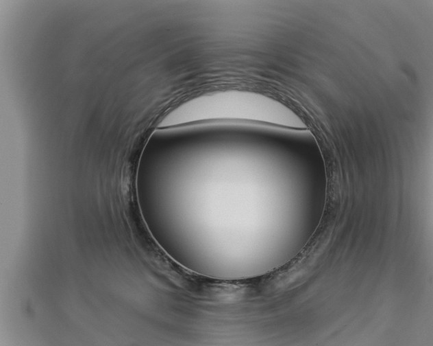 X0000112860328200908281609