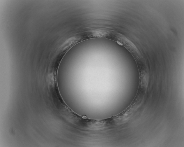 X0000112860329200908281609