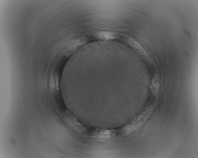 X0000112860330200908281609