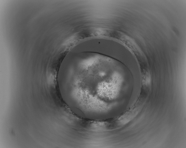 X0000112860332200908281609