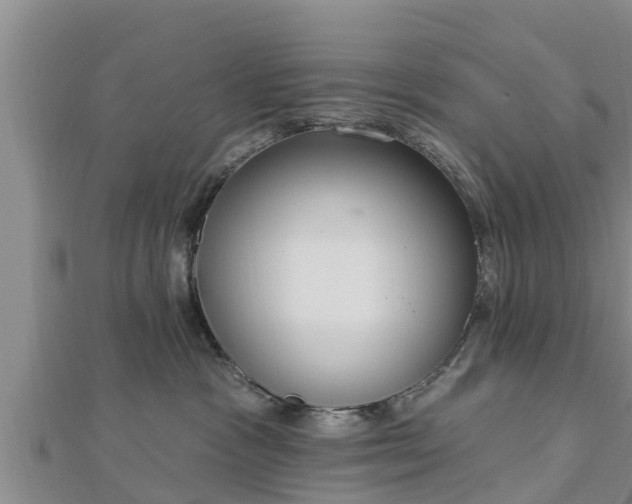 X0000112860333200908281609