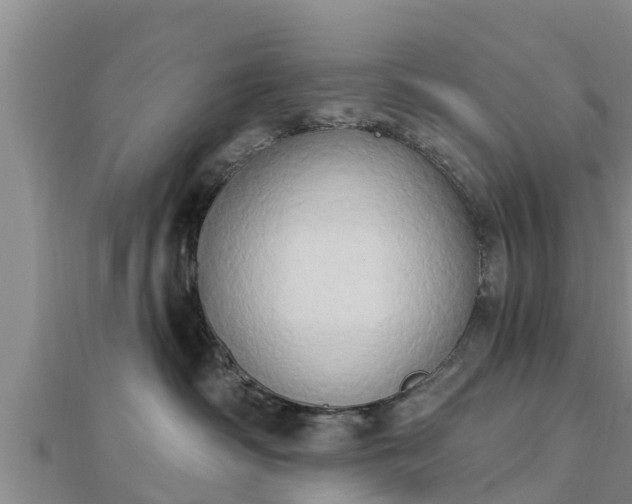 X0000112860334200908281609