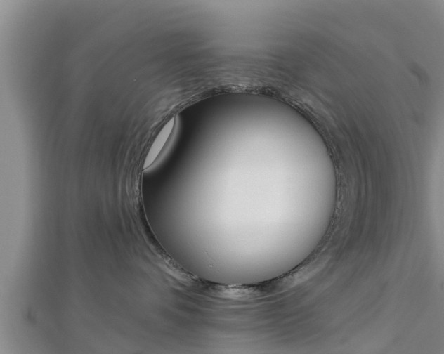 X0000112860336200908281609