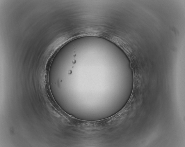 X0000112860338200908281608