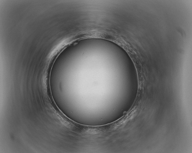 X0000112860341200908281609