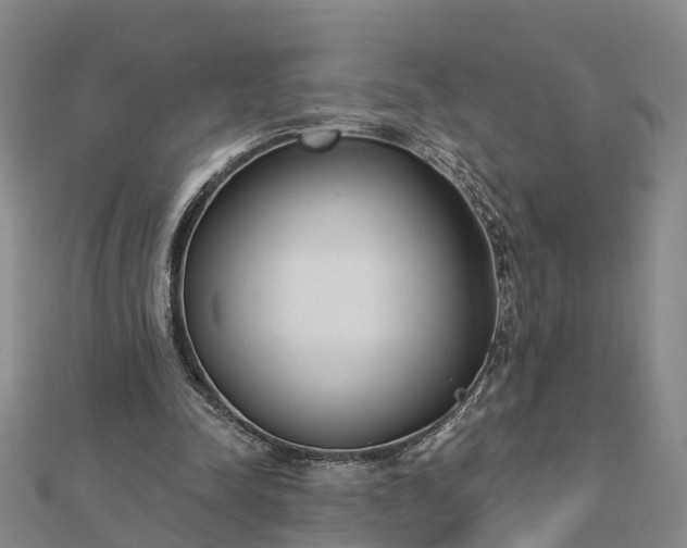 X0000112860342200908281609