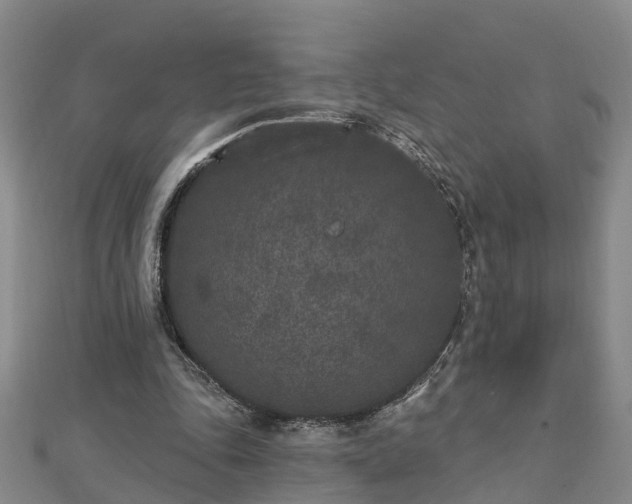 X0000112860343200908281609