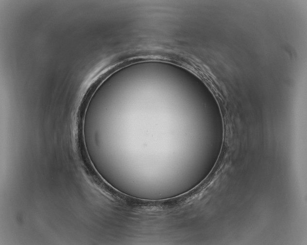 X0000112860344200908281609