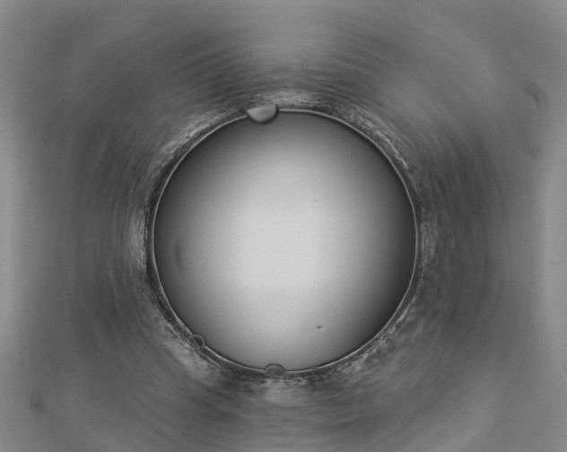 X0000112860345200908281609