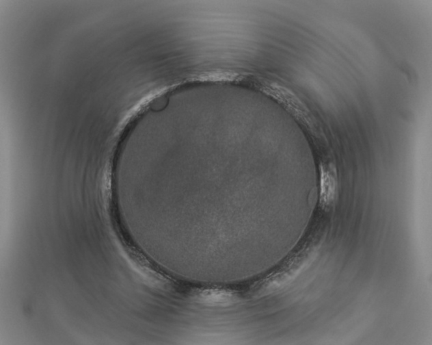 X0000112860348200908281609