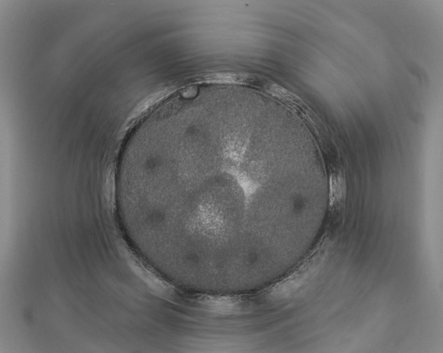 X0000112860349200908281609