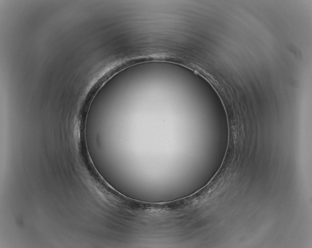 X0000112860350200908281609