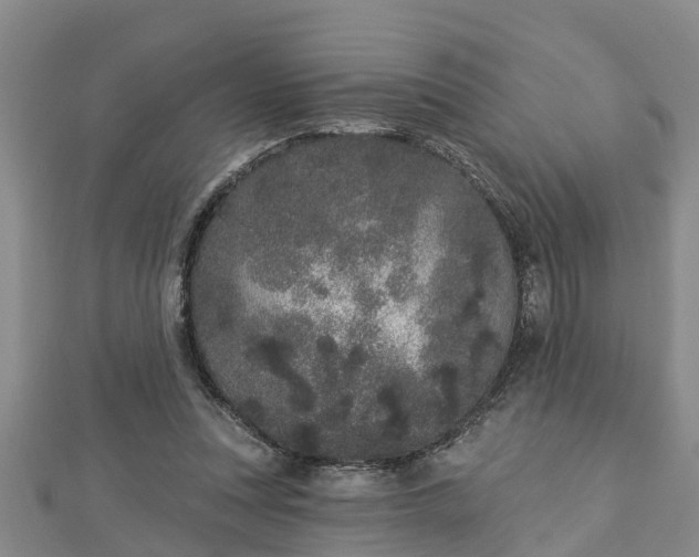 X0000112860351200908281609