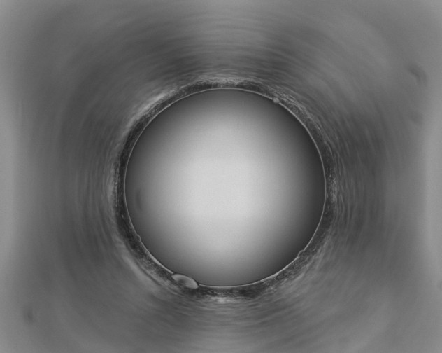 X0000112860352200908281609