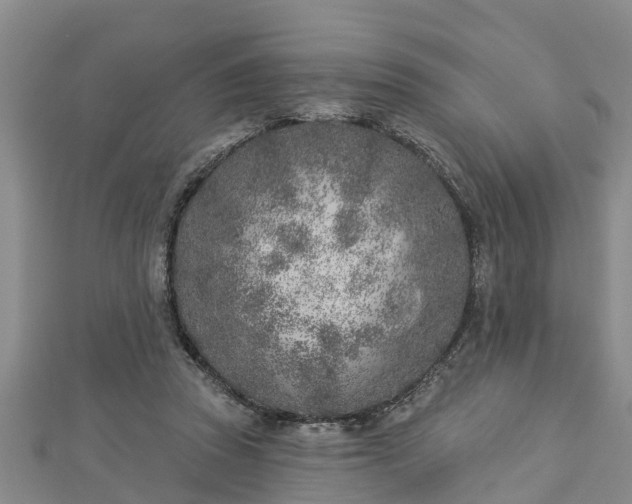 X0000112860353200908281609