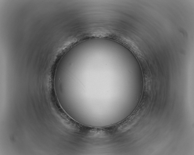 X0000112860354200908281609