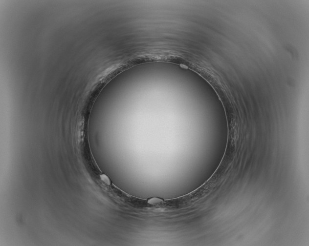 X0000112860356200908281609