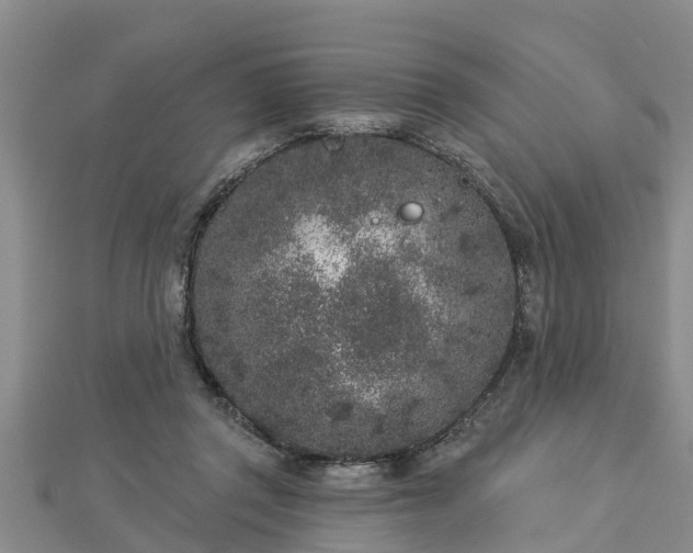 X0000112860357200908281609