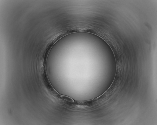 X0000112860360200908281609
